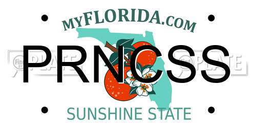 PRNCSS Florida License Plate