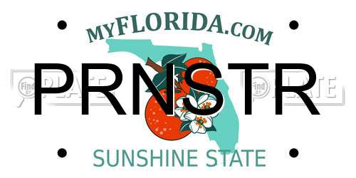 PRNSTR Florida License Plate