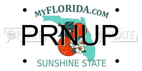 PRNUP Florida License Plate