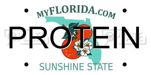 PROTEIN Florida License Plate