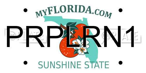 PRPLRN1 Florida License Plate