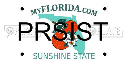 PRSIST Florida License Plate