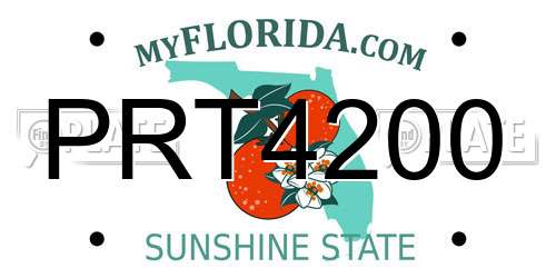 PRT4200 Florida License Plate