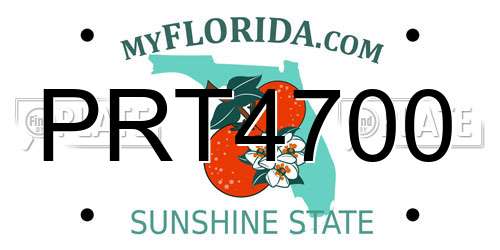 PRT4700 Florida License Plate