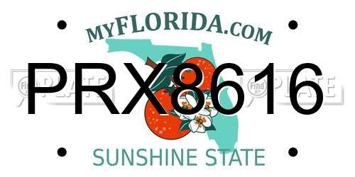 PRX8616 Florida License Plate