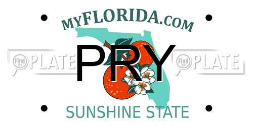 PRY Florida License Plate
