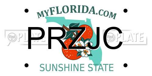 PRZJC Florida License Plate