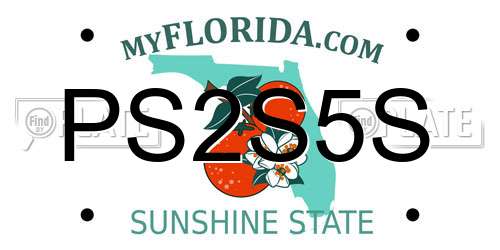 PS2S5S Florida License Plate