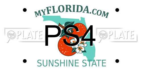 PS4 Florida License Plate