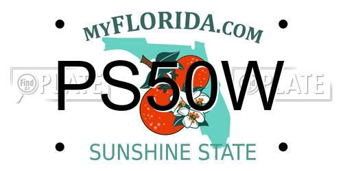 PS50W Florida License Plate
