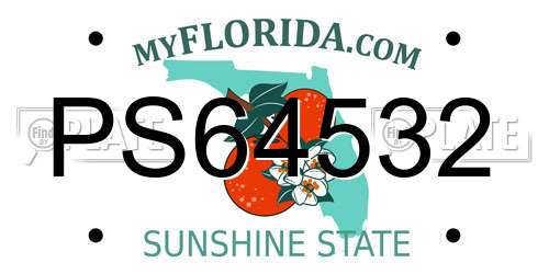 PS64532 Florida License Plate