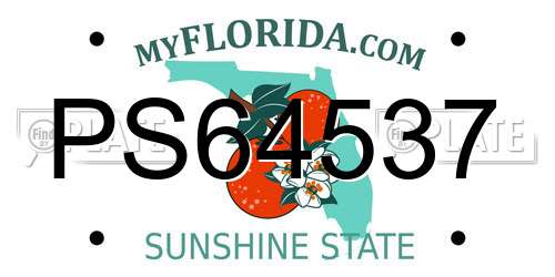 PS64537 Florida License Plate