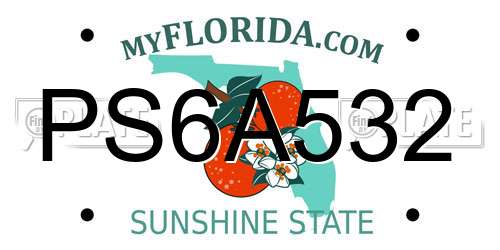 PS6A532 Florida License Plate