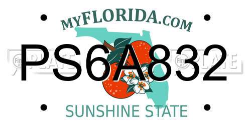 PS6A832 Florida License Plate