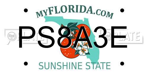 PS8A3E Florida License Plate