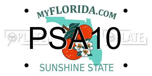 PSA10 Florida License Plate