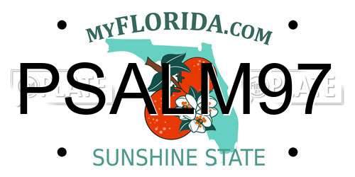 PSALM97 Florida License Plate