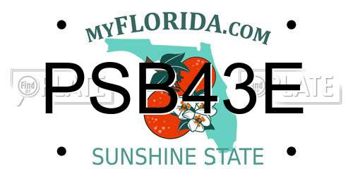 PSB43E Florida License Plate