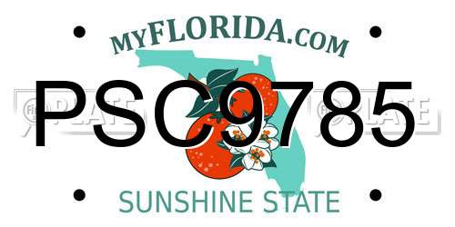PSC9785 Florida License Plate