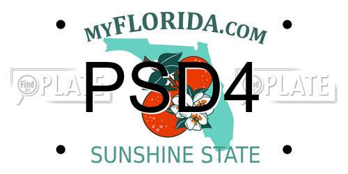PSD4 Florida License Plate
