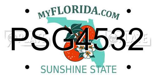 PSG4532 Florida License Plate