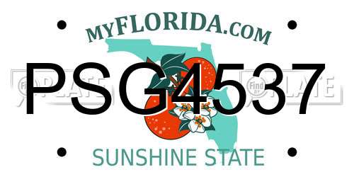 PSG4537 Florida License Plate