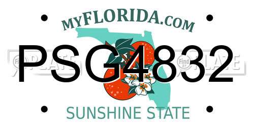 PSG4832 Florida License Plate
