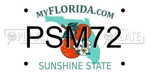 PSM72 Florida License Plate