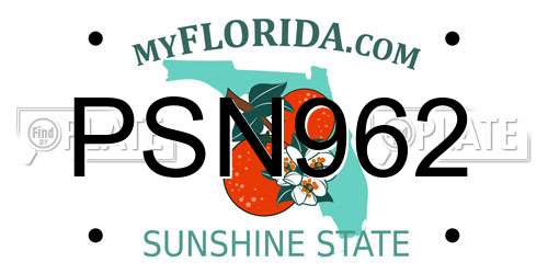 PSN962 Florida License Plate