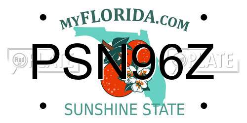 PSN96Z Florida License Plate