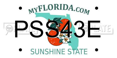 PSS43E Florida License Plate
