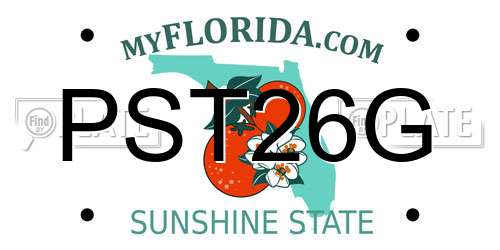 PST26G Florida License Plate