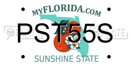 PST55S Florida License Plate