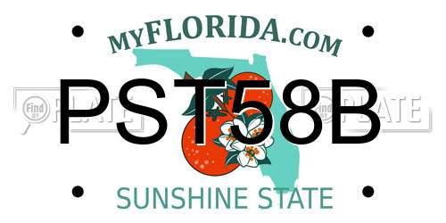 PST58B Florida License Plate