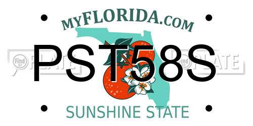 PST58S Florida License Plate