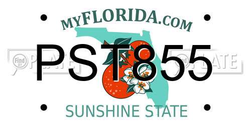 PST855 Florida License Plate