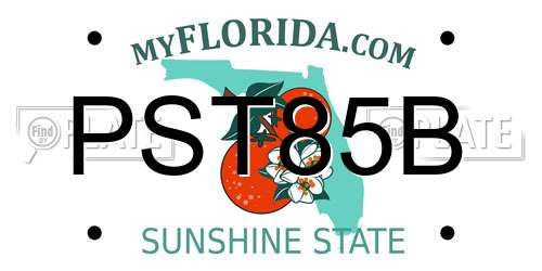 PST85B Florida License Plate