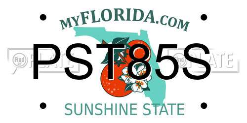 PST85S Florida License Plate