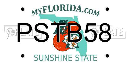 PSTB58 Florida License Plate