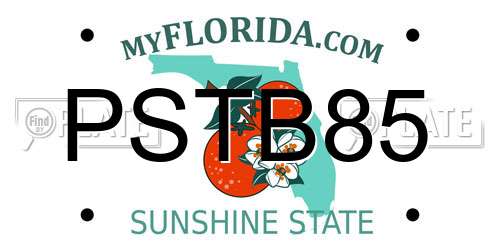 PSTB85 Florida License Plate