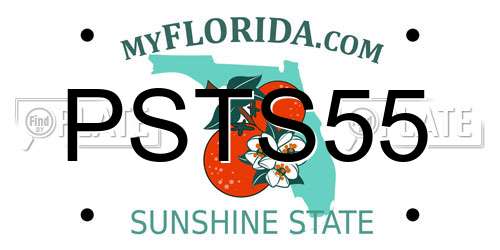 PSTS55 Florida License Plate