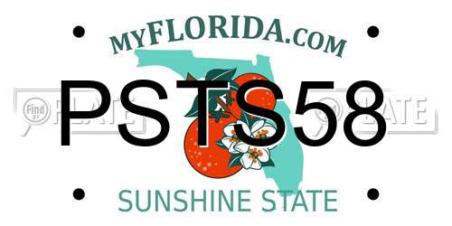 PSTS58 Florida License Plate