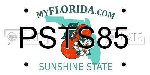 PSTS85 Florida License Plate