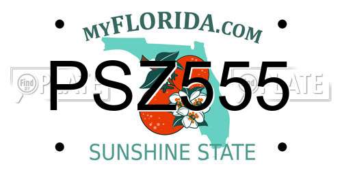 PSZ555 Florida License Plate