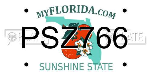PSZ766 Florida License Plate