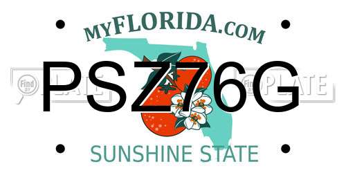 PSZ76G Florida License Plate