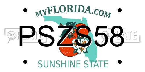 PSZS58 Florida License Plate