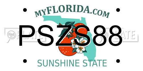 PSZS88 Florida License Plate