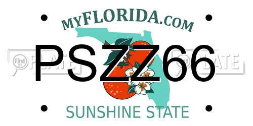 PSZZ66 Florida License Plate