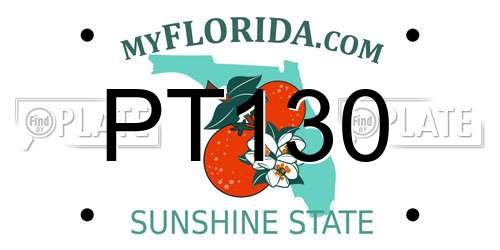 PT130 Florida License Plate
